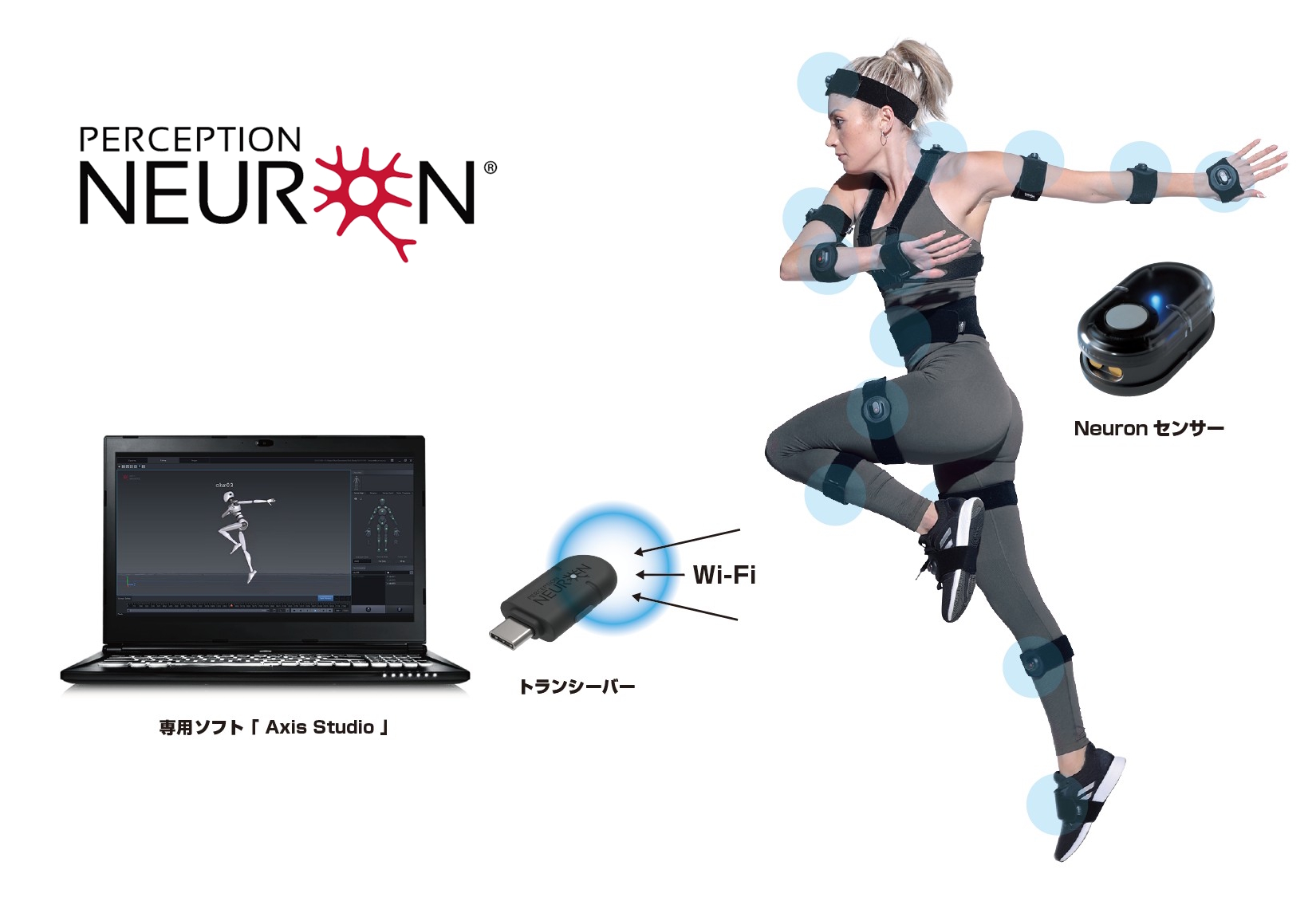 Perception Neuron Studio Body V2｜NOITOM｜株式会社アユート PC